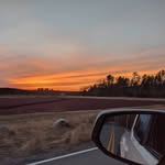 Joe Weigel - @joebonic_ - Instagram
