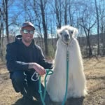 Joe Weissman - @joe.weissman - Instagram