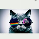 Joe Weldon - @gtabiker600 - Instagram