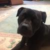 Joe_Weldon - @joe_weldon - TikTok