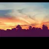 Joel Welling - @joelwelling - TikTok
