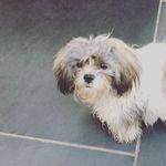 Joe.westcott - @joe.westcott1505 - Instagram