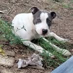 Joe Wicker Sr. - @wickersr.joe - Instagram