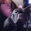 joewicker8 - @joewicker8 - TikTok