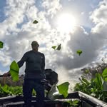 Joe Willard Photography - @jwphotography79 - Instagram