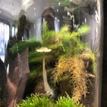 Lost World Terrariums - @joewinters - Instagram