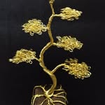 @joewiretrees - Instagram