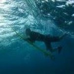Joe Witt - @joewitt - Instagram