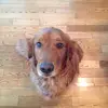 Joewitt44 - @joewitt44 - TikTok