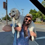 Joe Woolley - @woolleyjoe - Instagram