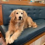 Joe Worth - @joseph.worth3 - Instagram