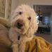 Joe Zarra - Facebook