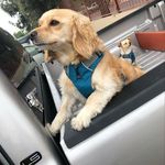 Joel Aceves - @jo_ace__ - Instagram