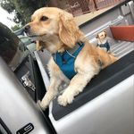 Joel Aceves - @jo.ace_ - Instagram