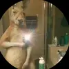 Joel Aceves - @joelaceves7 - TikTok