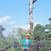 Joel Alanis - Facebook