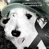 Joel Alcantar - @joel.alcantar36 - TikTok