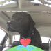 Joel Andersen - Facebook