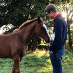 Joel Andersson - @joel_andersson - Instagram