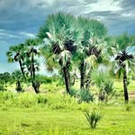 Joelandreas528 - @joelandreas5285 - Instagram
