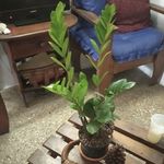 Joel Aparicio - @joel.aparicio.94617 - Instagram