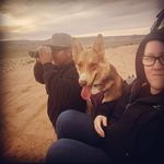 Joel Ashley & Nala - @jna.offroad - Instagram