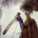 Joel Ashton - @joelashton14 - Instagram