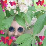 Joel Bays - Facebook