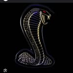 Joel Beane - @beanejoel - Instagram