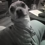 joel becerril - @joemilio1209 - Instagram