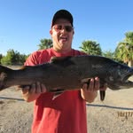 Joel Bills - @billsjoel21 - Instagram