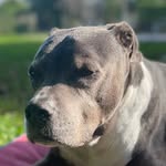 Joel Blumenthal - @joeldownsouth - Instagram