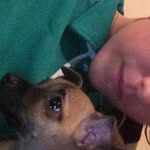 Joel Boland - @joelboland619 - Instagram