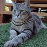 Joel Boling - @jboling1977 - Instagram
