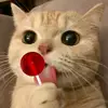 joel - @joel.botello.garcia - TikTok