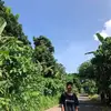 joelbrillante29 - @joelbrillante29 - TikTok