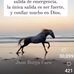 Joel Brito - Facebook