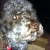 Joel Byrd - Facebook