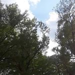Joel Byrd - @intricate_nature - Instagram