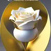 cadet - @joelcadet367gmail.com - TikTok