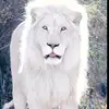 JoelCadena48@ - @joelcadena480 - TikTok