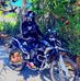 Joel Cadena - Facebook