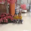 Joel Caleb - @joel.caleb61 - TikTok
