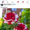 Joel Camarillo - @joel.camarillo48 - TikTok