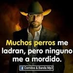 Randy Joel Camarillo - @randycamarillo - Instagram