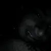 Joel Cano🧃 - @joel.cano7 - TikTok