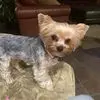 Joel Cano - @joel.cano555 - TikTok