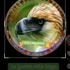 Joel Cape476 - @joelcape476 - TikTok