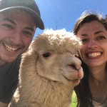 Joel Ceraldi - @joelceraldi - Instagram