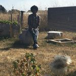 joel clifton - @joelfaces - Instagram